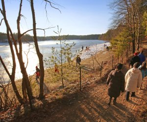 12 Great Places To Hike with Kids around Boston: Walden Pond