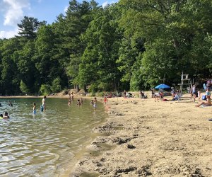Best Swimming Lakes and Ponds Around Boston Historic Walden Pond is open for cooling off this summer. Photo by Todd Van Hoosear/CC -BY-SA 2.0