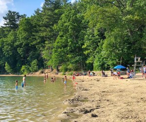 Photo of beach at Walden Pond - 100 things To Do in Boston