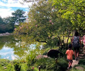 The Japanese Gardens in Hermann Park