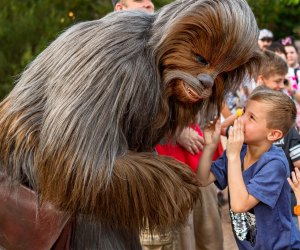 From Disney to SeaWorld, Orlando Theme Parks Are Reopening Soon Chewy, we've missed you! Photo by Matt Stroshane courtesy of Walt Disney World