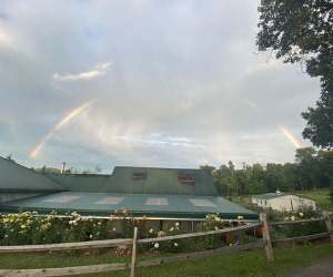 A rainbow rises over the scenic Warwick Valley Winery