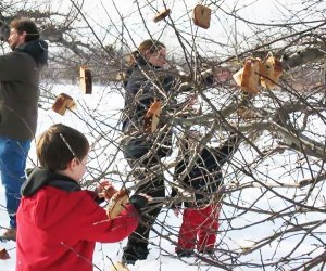 Celebrate the ancient British tradition of Wassailing the Apple Trees at Terhune Orchards this winter. Photo courtesy of the orchard