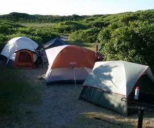 Camping near NYC: Tents set-up at Fire Island's Watch Hill