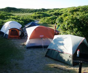 Go camping at Fire Island's Watch Hill campground
