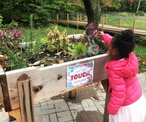 Kids are encouraged to get hands-on on the trail.