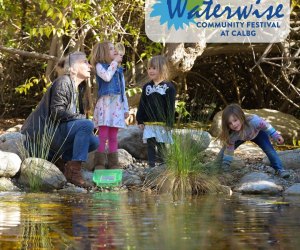 Waterwise Community Festival