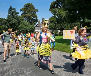 Wave Hill celebrates bees with Honey Weekend. Photo by Erica Berger