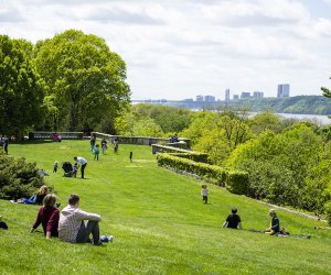 Best of the Bronx: Wave Hill