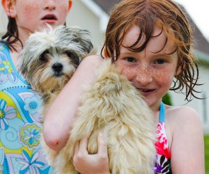 Best Pets for Kids: Dogs