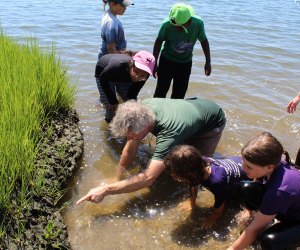 Westchester County Nature Camps.Affordable Summer Camps in Westchester and the Hudson Valley