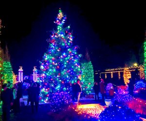 Untermyer Garden's Grand Holiday Illumination runs nightly from Saturday, December 7 to New Year's Day. Photo courtesy of Untermyer Gardens