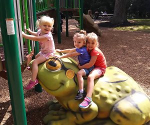 Thomas Bull Memorial Park: Best Parks and Playgrounds in the Hudson Valley