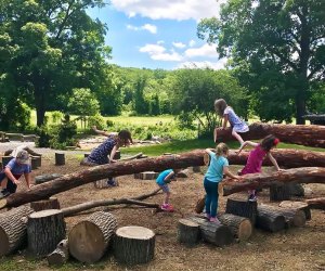 Grasshopper Grove: Best Parks and Playgrounds in the Hudson Valley