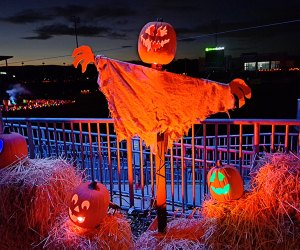 Pumpkin World in Pomona features hand-carved pumpkin art sculptures. Photo by the author