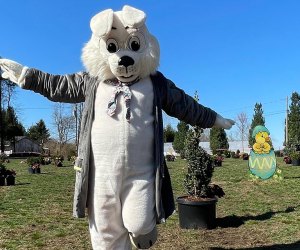 Head to the orchards for an Easter egg hunt at Harvest Moon. Photo courtesy of Harvest Moon
