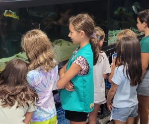 Marine Education Center at Harbor Island Park 