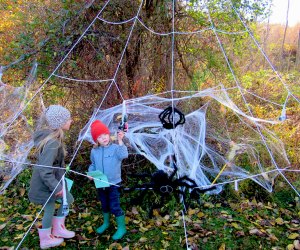 Wander through the I Spy Halloween Nature Trail at Hudson Highlands Nature Museum. Photo courtesy of the museum