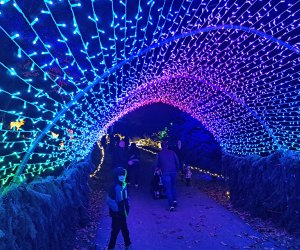 Journey through illuminated tunnels at Lumina - A Magical Lights Experience at Harvest Moon Farm & Orchard.  Photo by the author