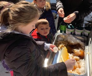 Learn how trees are tapped and how the sap is collected during a Maple Saturday program at Lenoir Preserve. Photo courtesy of the preserve