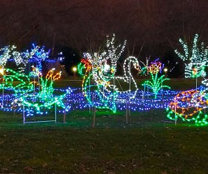 Holiday Lights in Bloom, at the Orange County Arboretum, features illuminated flora and fauna. Photo courtesy of the arboretum