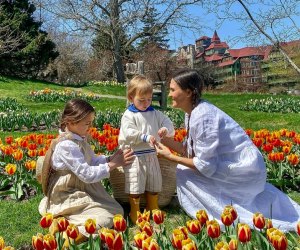 Tiptoe through the tulips at the Mohonk Tulip Festival. Photo courtesy of the venue