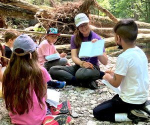 Cary Institute Eco Camp is held on a 2,000-acre campus with ponds, streams, and hills. Photo courtesy of the camp