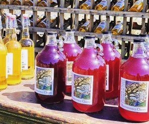 Family-friendly vineyards in Westchester: Stone Ridge Orchard