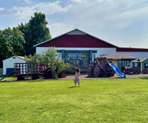 Weed Orchards & Winery: grass and playground