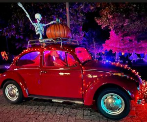 Pumpkin World Lights up Rockland County for Halloween