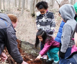 Kids explore the great outdoors Hudson Highlands Nature Center. Photo courtesy of the center