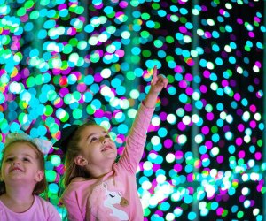 Visit the  spectacular Wonderland of Lights in Rhinebeck. Photo courtesy of the event 