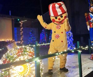 Experience the magic of Kevin McCurdy’s Holiday Spirit Festival Winter Wonderland Walk! Photo by the author