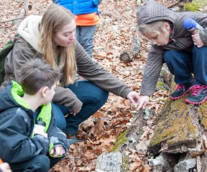 Teatown Lake Reservation holds winter workshops for kids and families. Photo courtesy of the reservation