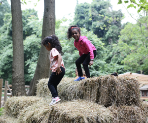 Run wild at the forest obstacle course at Greenburgh Nature Center this fall. Photo courtesy of the center