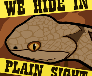 Wild Wednesday: We Hide in Plain Sight
