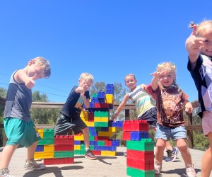 Adventure Playground: climb a tree fort to reach giant LEGO bricks