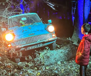 Harry Potter: A Forbidden Forest Experience: Weasleys' car