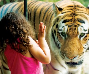 Enjoy a  wild visit to the Philadelphia Zoo during a weekend getaway to the City of Brotherly Love. Photo courtesy of the zoo