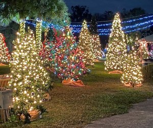 Whats Open Christmas Day 2022 Orlando What's Open On Christmas Day In Orlando: A List Of Awesome Things To Do |  Mommypoppins - Things To Do In Orlando With Kids