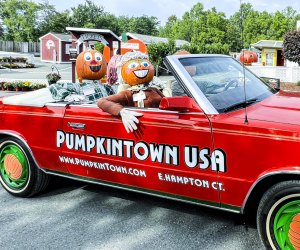 Welcome to Pumpkintown USA in Connecticut, home to the friendliest pumpkinheads.