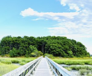 Photo of Wellfleet Wildlife Sanctuary on Cape Cod.