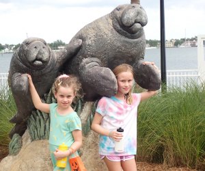 10 Ways to Explore the Palm Beach Zoo in West Palm Beach, Florida -  Coast2CoastWithKids