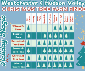 Christmas tree farm  Guide Westchester Hudson Valley