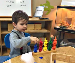 Engage in hands-on learning at West Hills Montessori School.