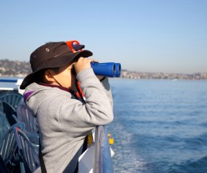 Whale Watching near Los Angeles: While you probably won't need binoculars to see whales, they're awfully fun!