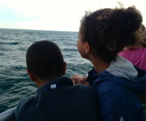 Taking a Whale Watch Cruise from Boston with Kids