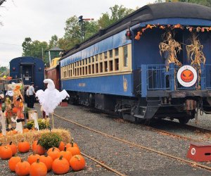 Hop on the the Halloween Express on Sunday for a spooky train ride. Photo courtesy of the railway the 