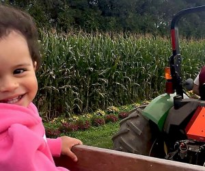 Little kids can enjoy the White Post Farms hayride.