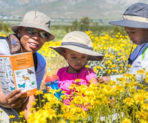 Even in a dry year, California is bursting with gorgeous colors in the spring!